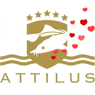 Attilus GmbH Test